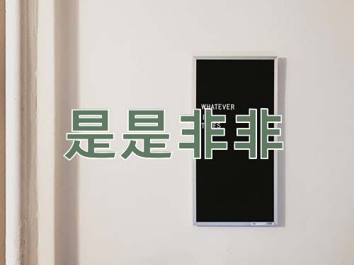 成语是是非非