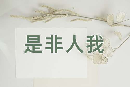 成语是非人我