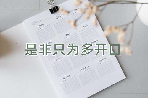 成语是非只为多开口
