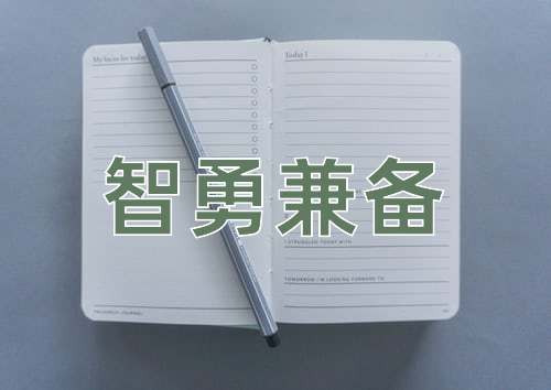 成语智勇兼备