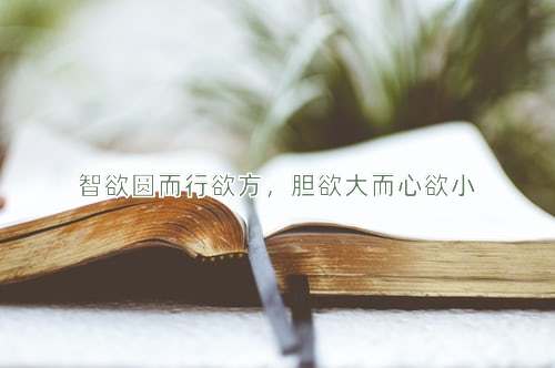 成语智欲圆而行欲方，胆欲大而心欲小