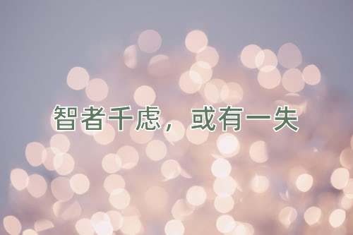 成语智者千虑，或有一失