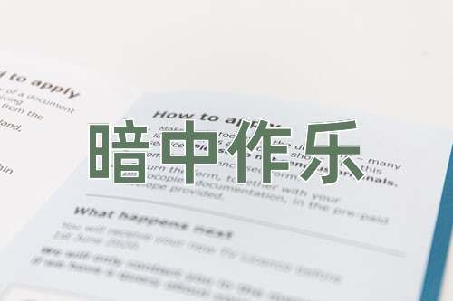 成语暗中作乐