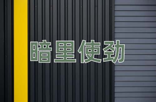 成语暗里使劲