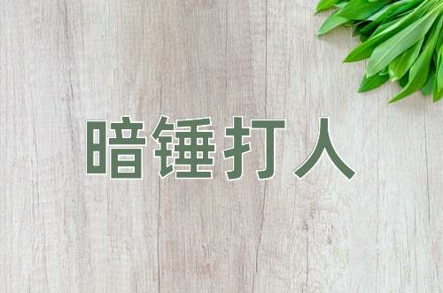 成语暗锤打人