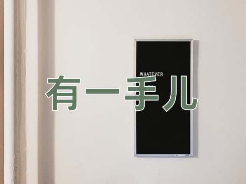 成语有一手儿