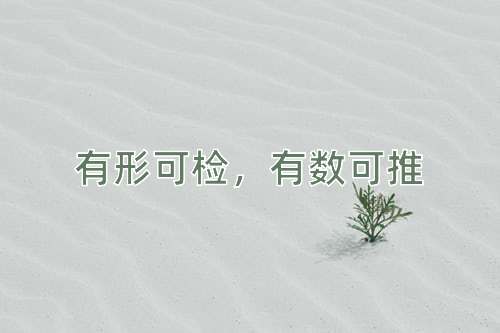 成语有形可检，有数可推