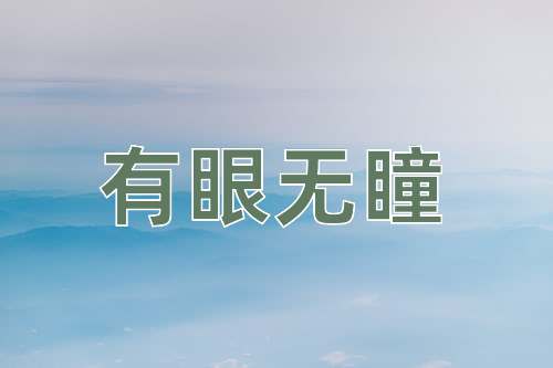 成语有眼无瞳