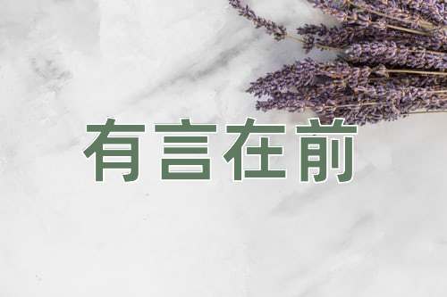 成语有言在前