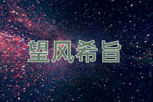 成语望风希旨
