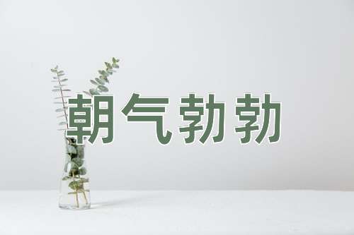 成语朝气勃勃