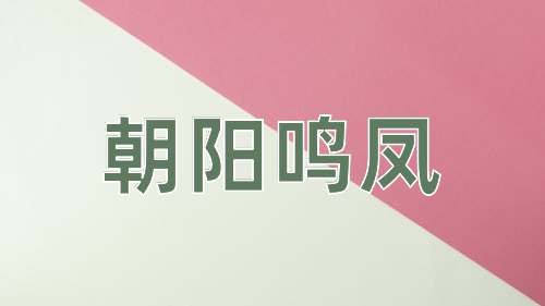 成语朝阳鸣凤