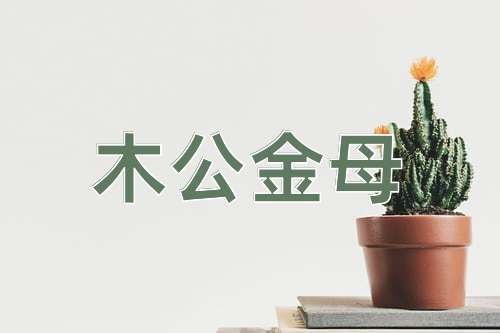 成语木公金母