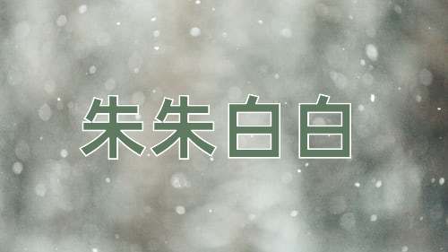 成语朱朱白白