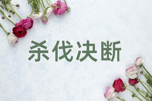 成语杀伐决断