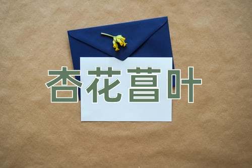 成语杏花菖叶