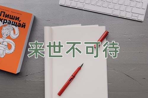 成语来世不可待