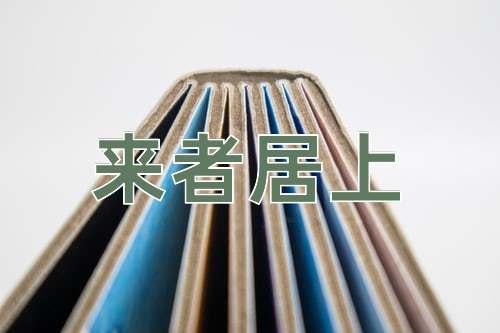 成语来者居上