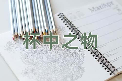 成语杯中之物