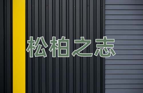 成语松柏之志