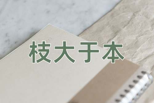 成语枝大于本