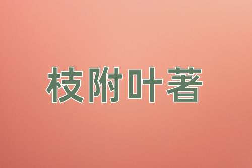 成语枝附叶著