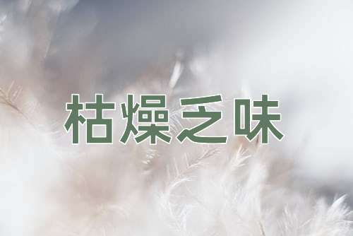 成语枯燥乏味
