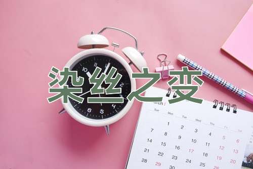 成语染丝之变
