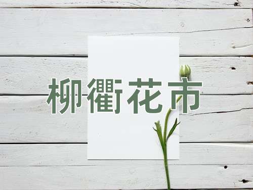 成语柳衢花市