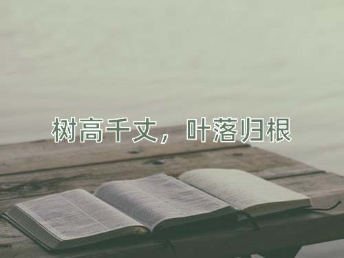 成语树高千丈，叶落归根