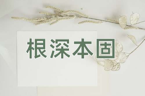 成语根深本固