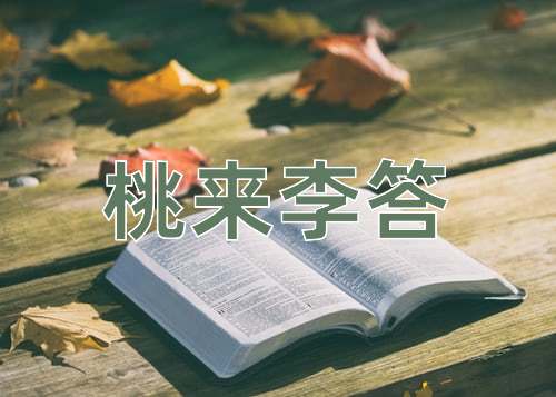 成语桃来李答