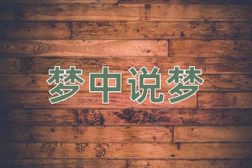 成语梦中说梦