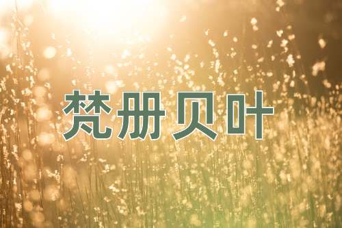 成语梵册贝叶