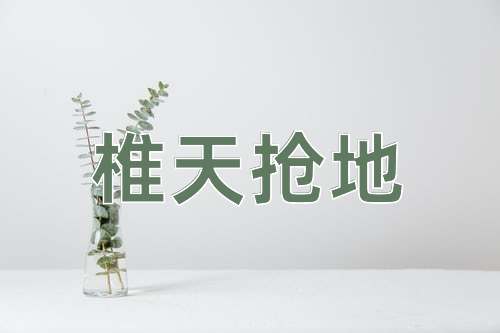 成语椎天抢地