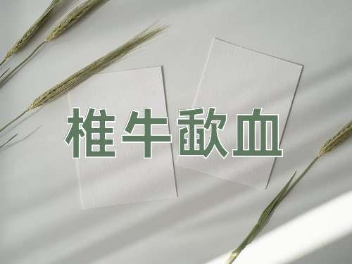 成语椎牛歃血