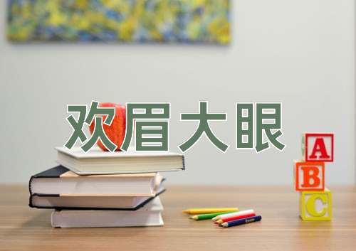 成语欢眉大眼