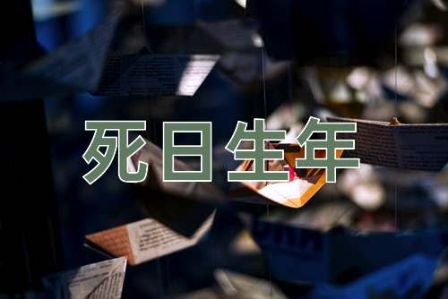 成语死日生年