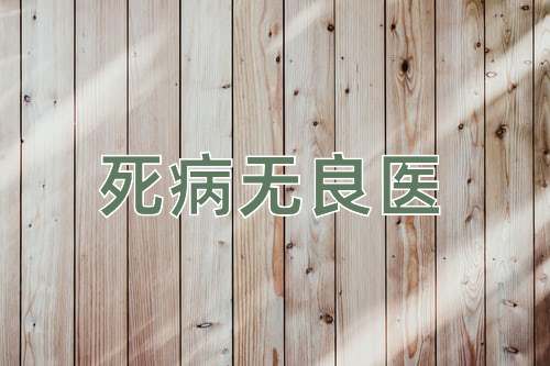 成语死病无良医