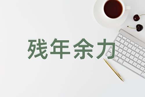 成语残年余力
