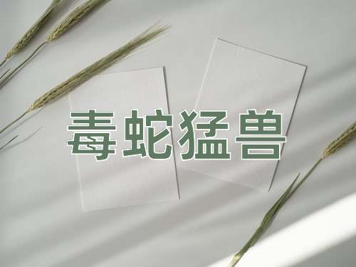 成语毒蛇猛兽