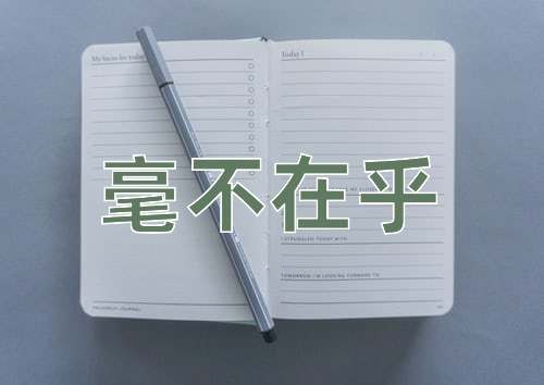 成语毫不在乎