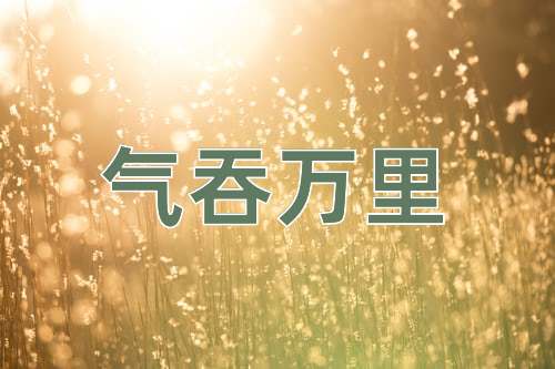 成语气吞万里