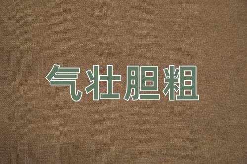成语气壮胆粗