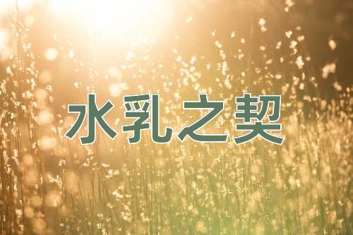 成语水乳之契