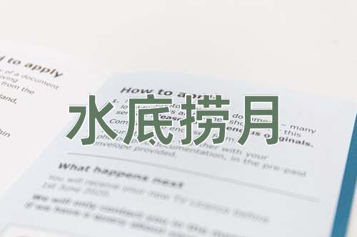 成语水底捞月