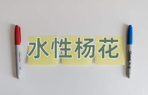 成语水性杨花