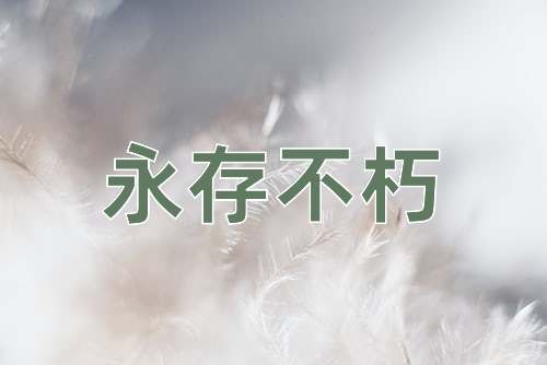成语永存不朽