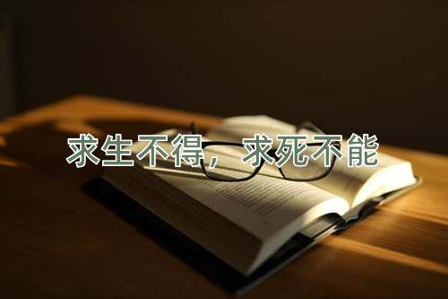成语求生不得，求死不能