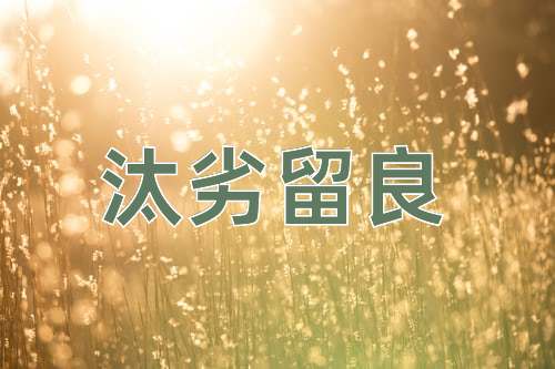 成语汰劣留良